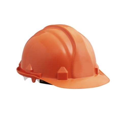 Evrigard Guardian Hard Hat
