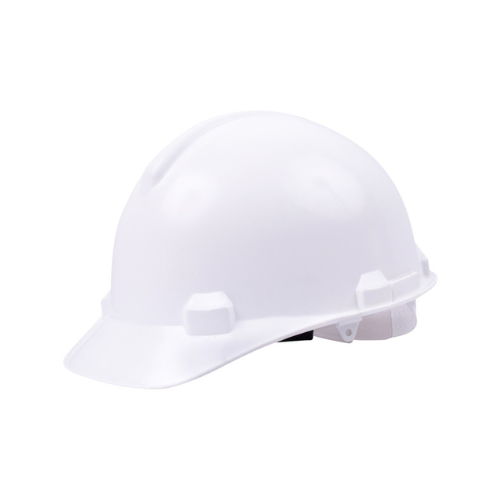 Evrigard Guardian Hard Hat