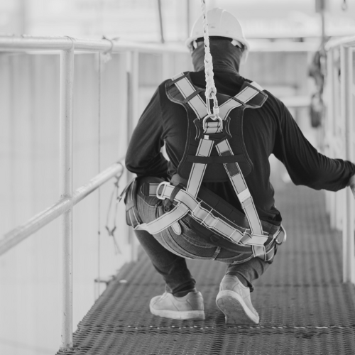 Safety Harnesses & Hospitality