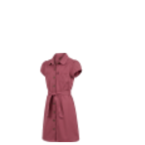 SALTY SKILPAD GIRLS DRESS-ROSE