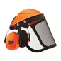 Visor And Ear Protection